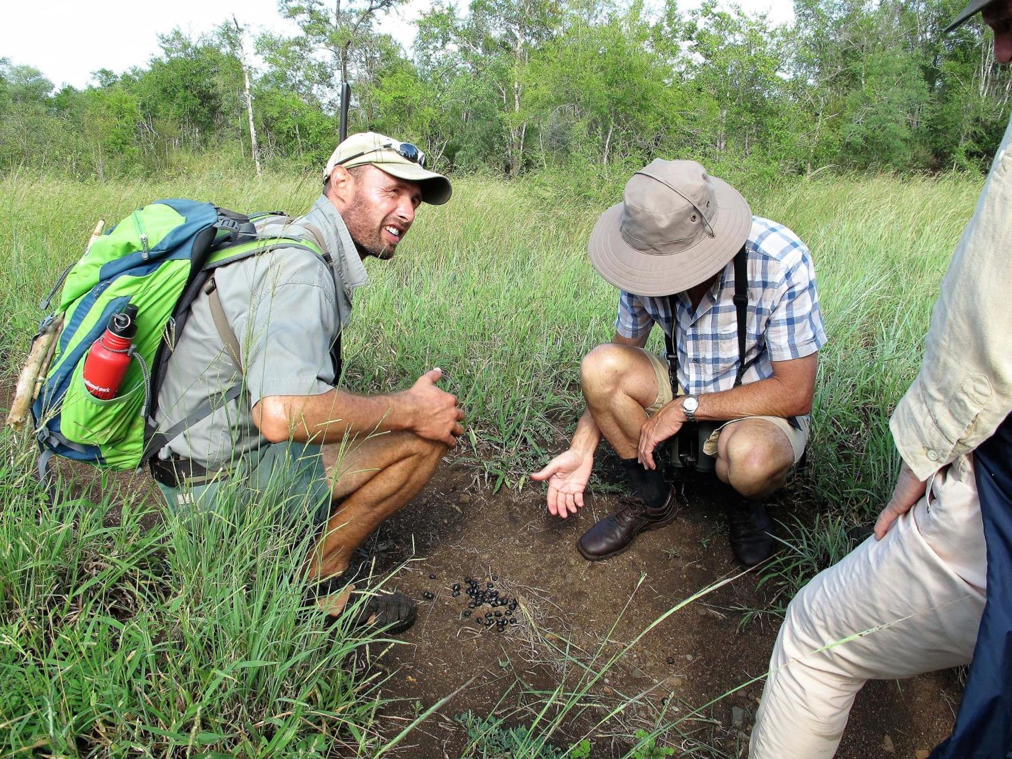 Отель Rhino Walking Safaris Скукуза Экстерьер фото